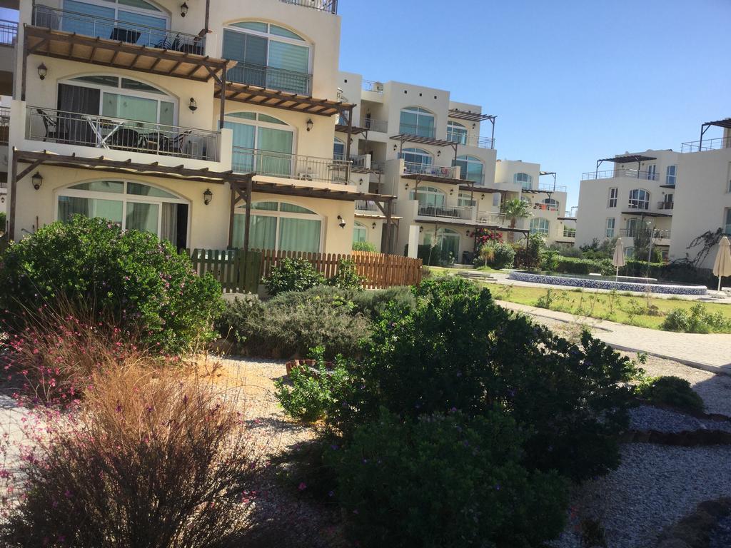 Aphrodite Beachfront Apartment Ghaziveran Exteriér fotografie